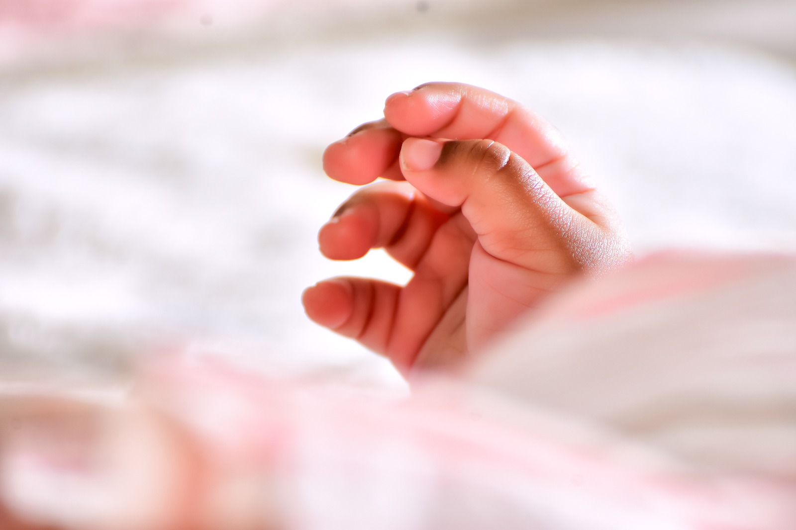 Meili Aurora - Image 3