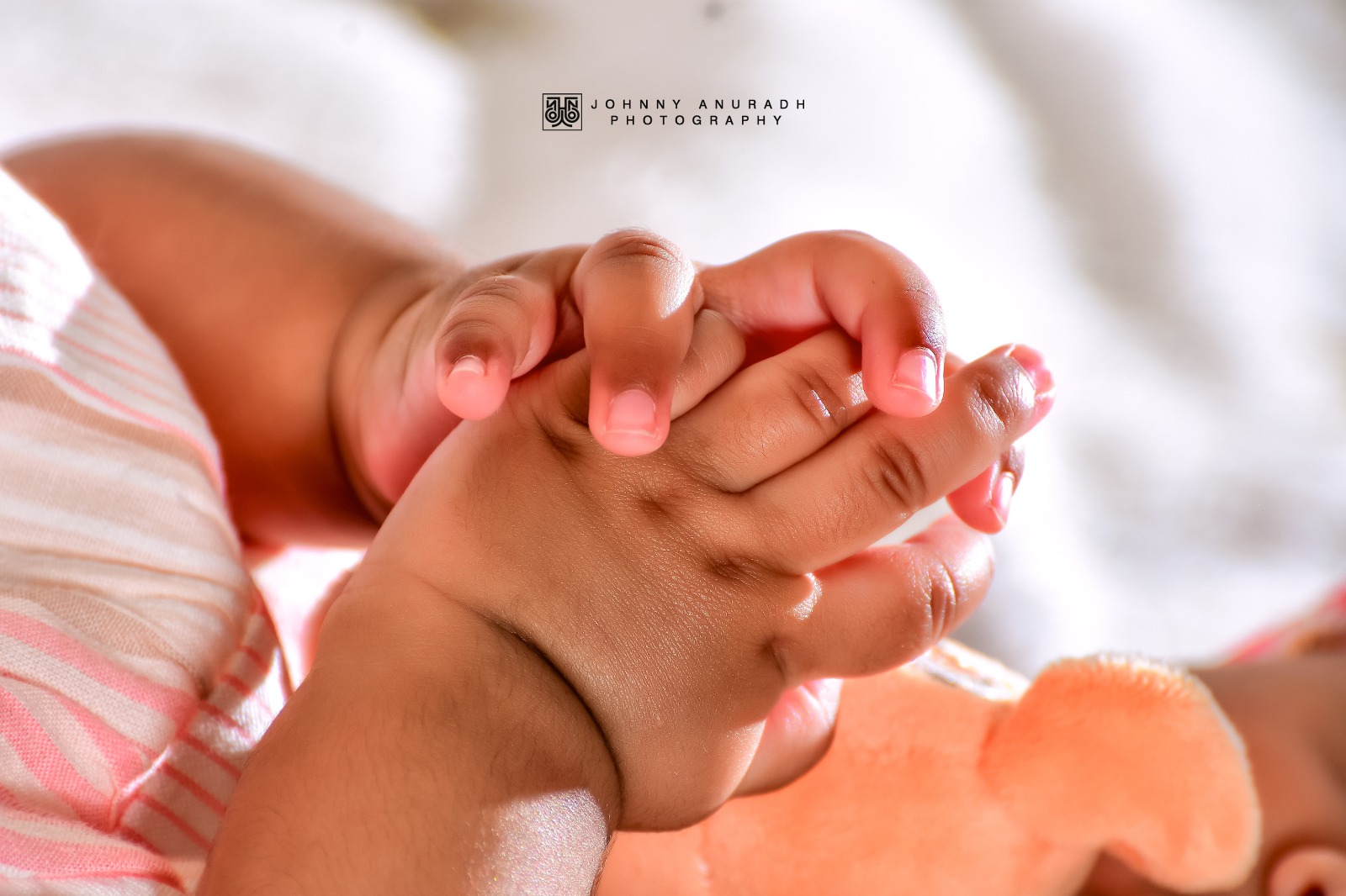 Meili Aurora - Image 9