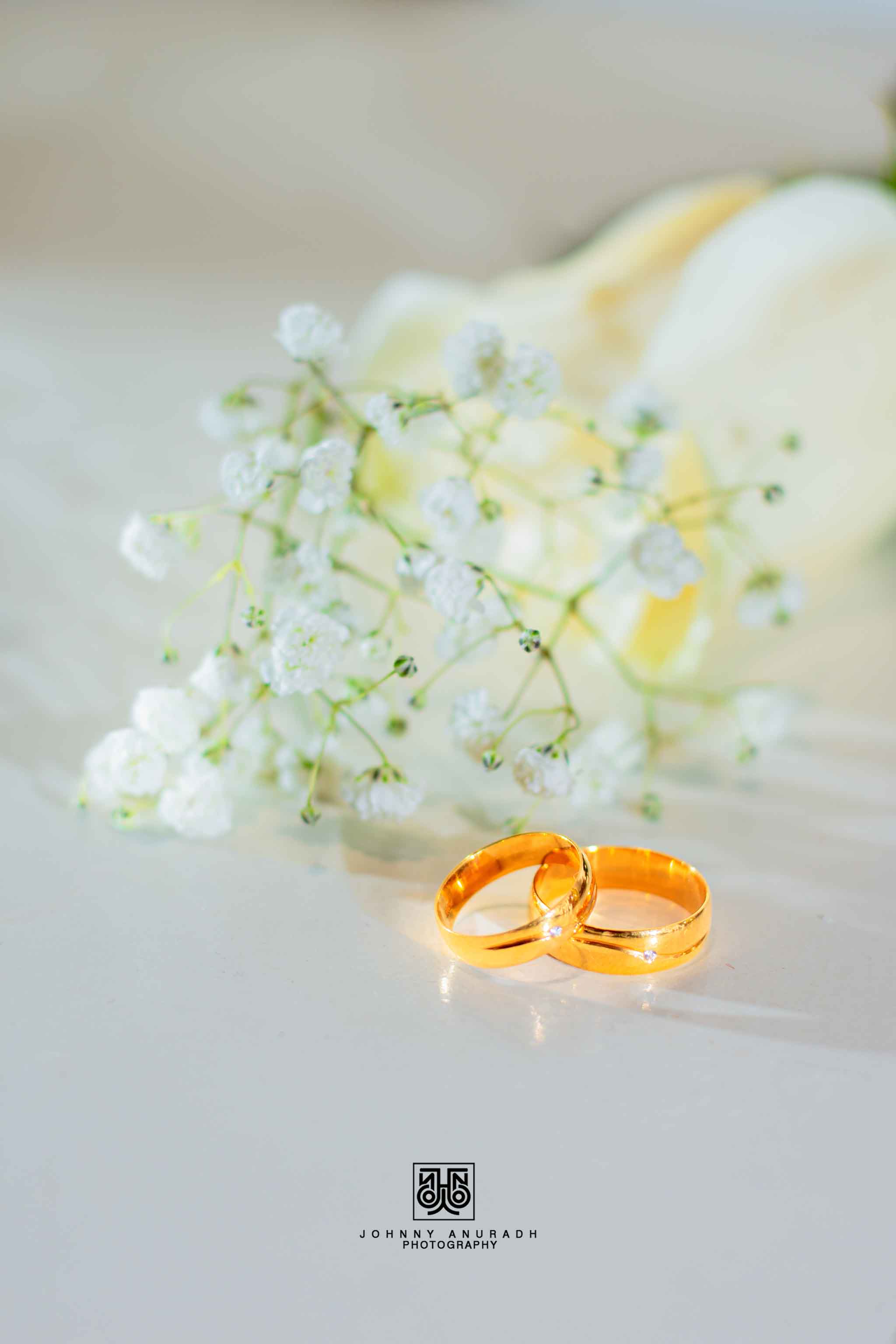 VISHWANI & KANISHKA - Image 14