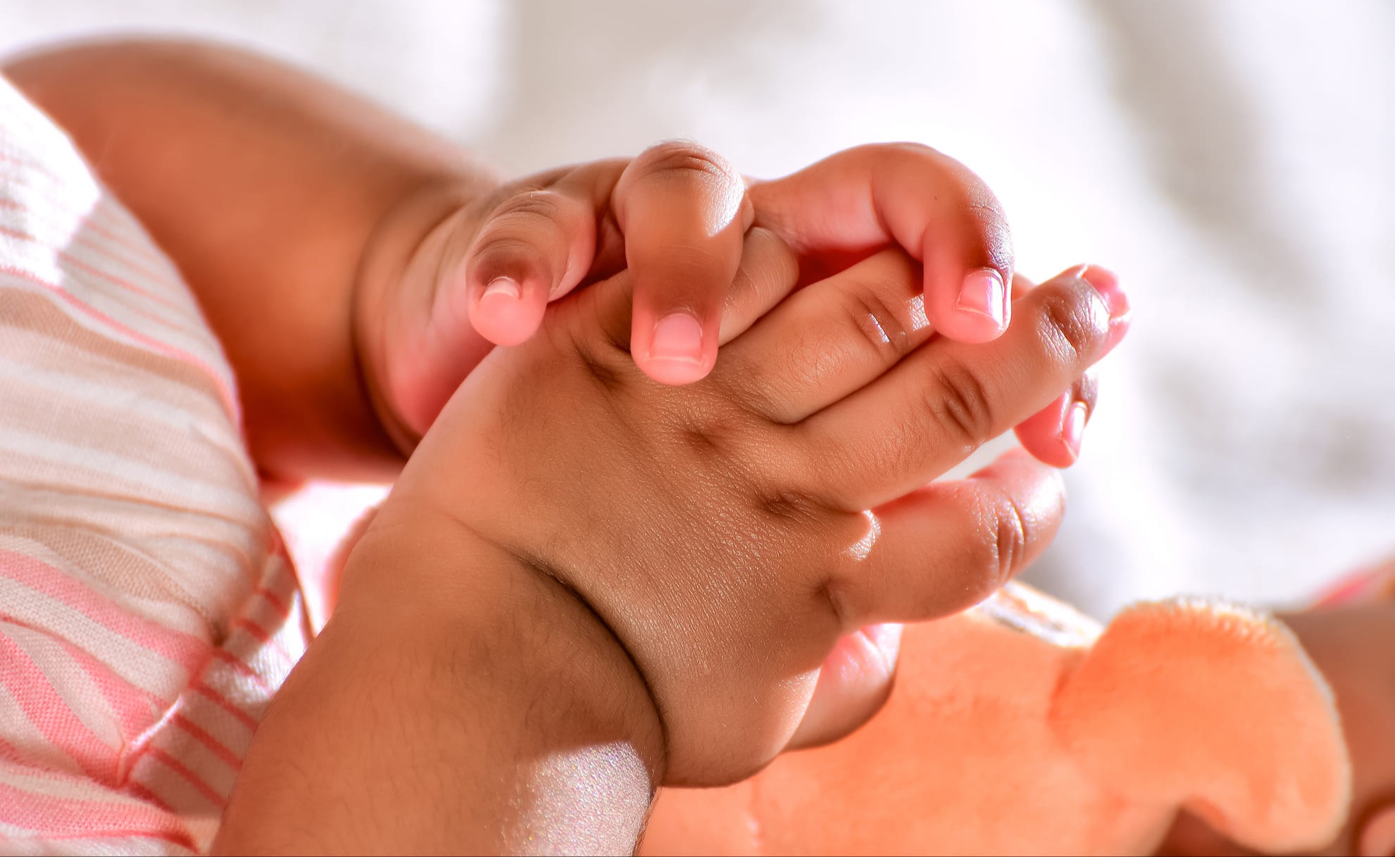 Baby Shoots