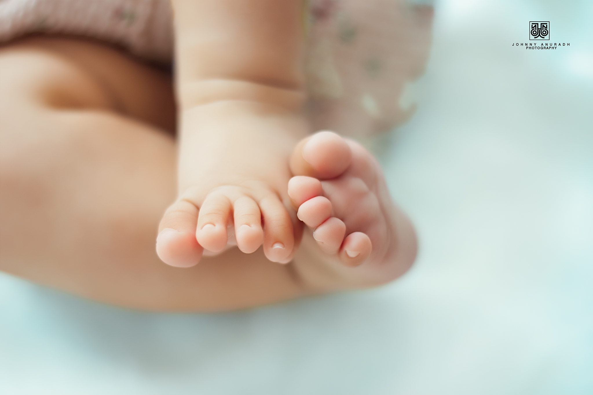 Baby Shoots